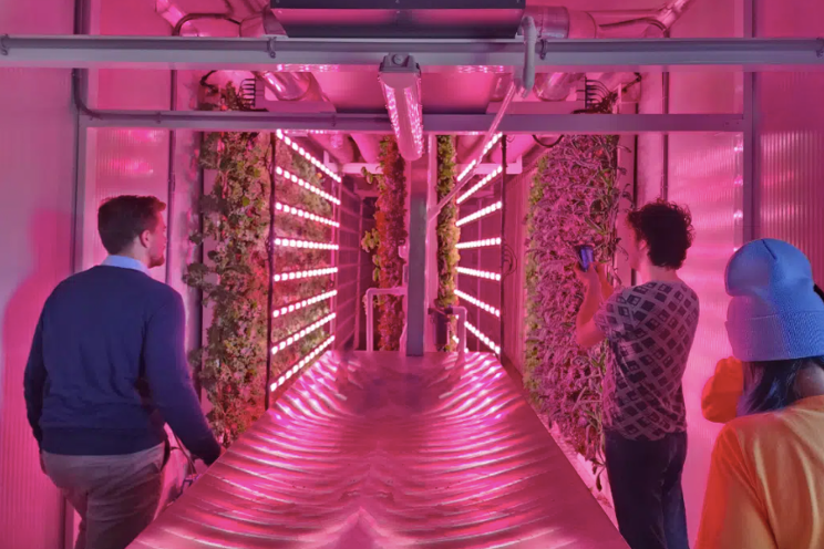 Growing next-gen indoor farmers Growing next-gen indoor farmers