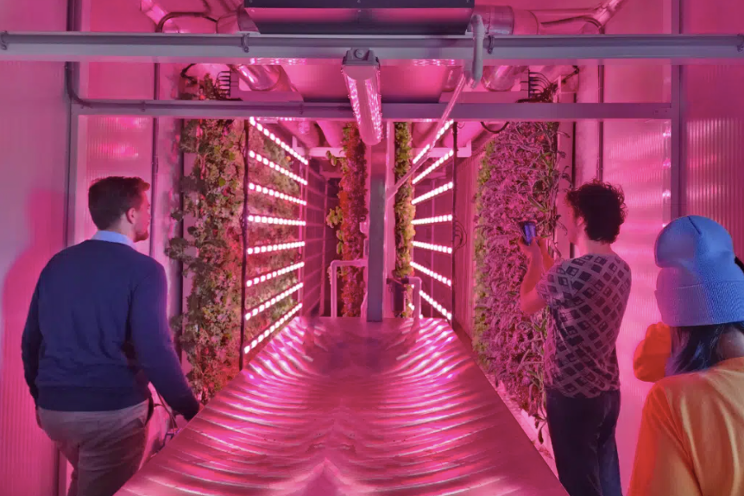 Growing next-gen indoor farmers