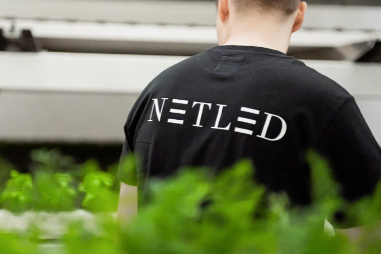 How to be successful in vertical farming? How to be successful in vertical farming?