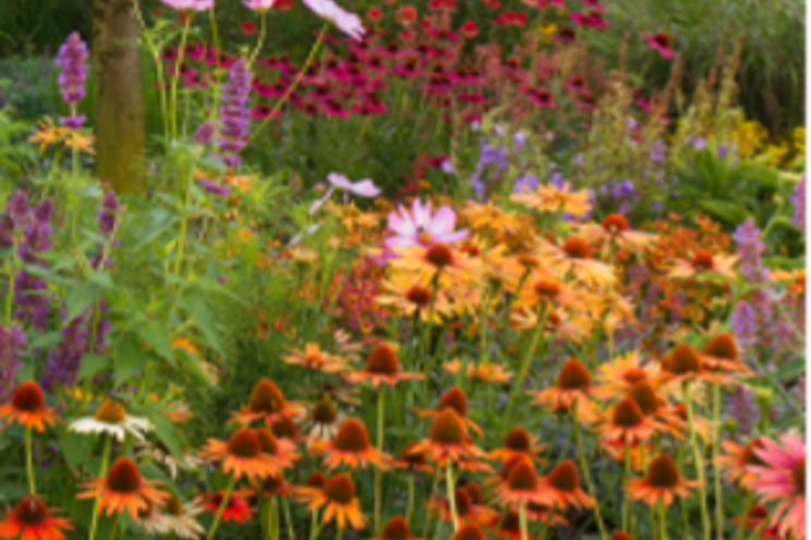 Top trends influencing consumer plant choices Top trends influencing consumer plant choices