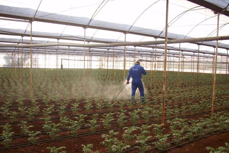 Turkish company is entering Dutch market Turkish company is entering Dutch market