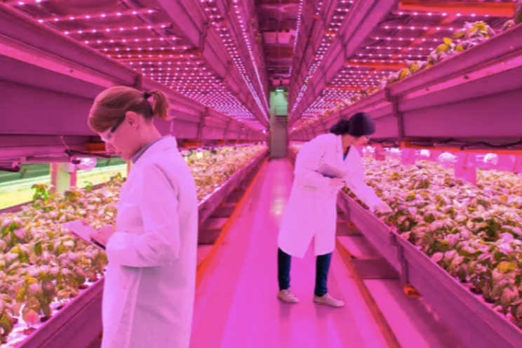 ams OSRAM introduces enhanced 640 nm Red LED ams OSRAM introduces enhanced 640 nm Red LED