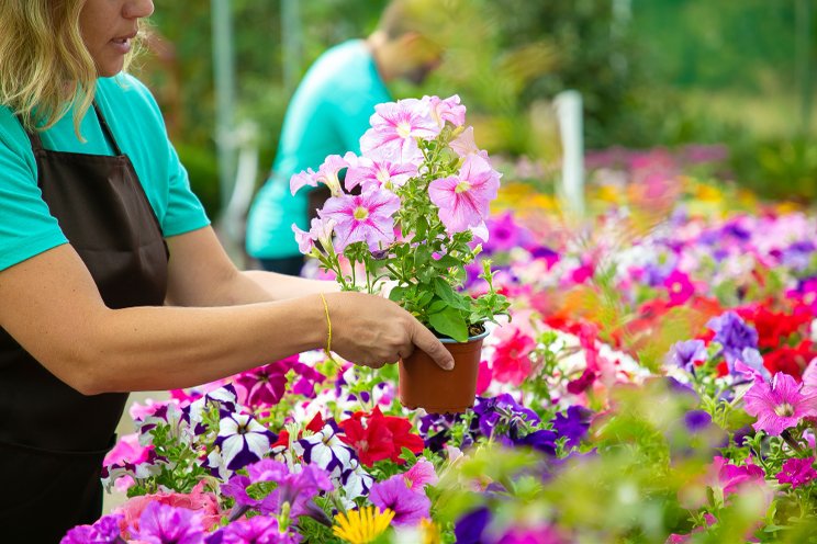 Oregon-based Panzer Nursery closes after 60 years Oregon-based Panzer Nursery closes after 60 years