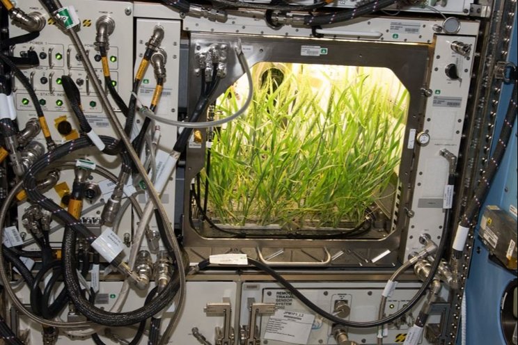 The future of food in space