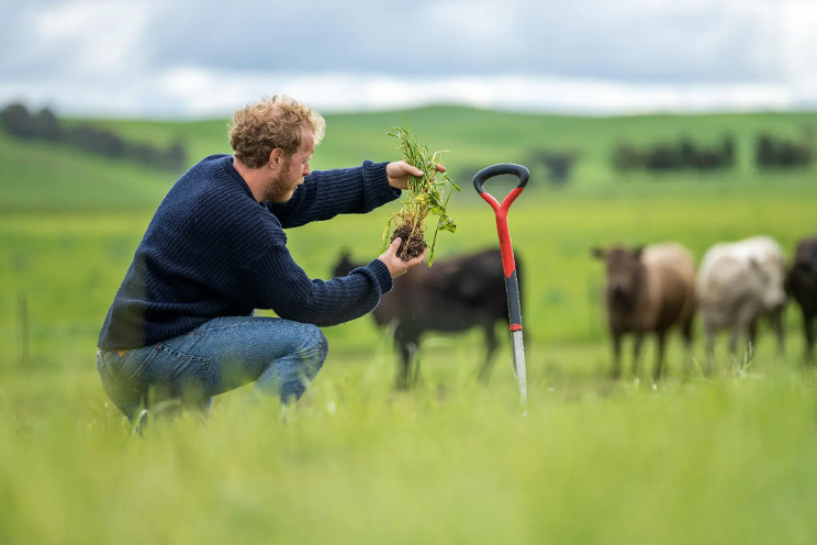 How sustainable farming is paying off for Australian farmers How sustainable farming is paying off for Australian farmers