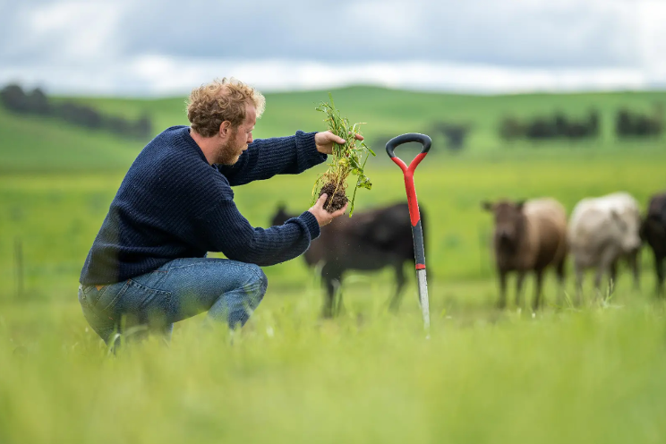 How sustainable farming is paying off for Australian farmers