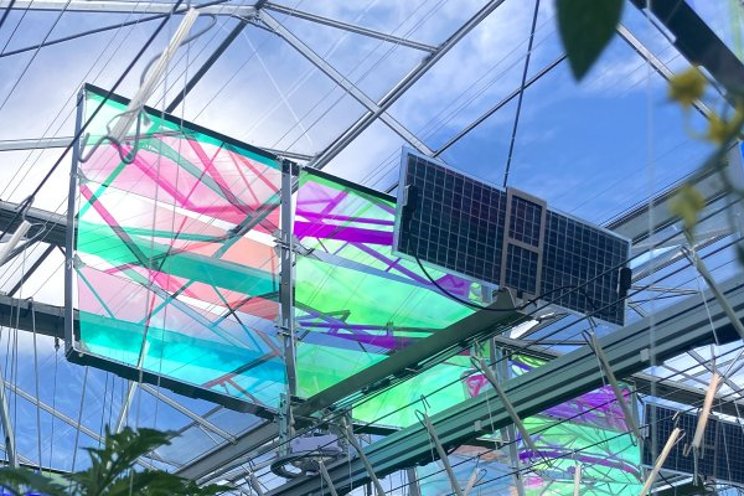 Solar panels in greenhouses are not profitable