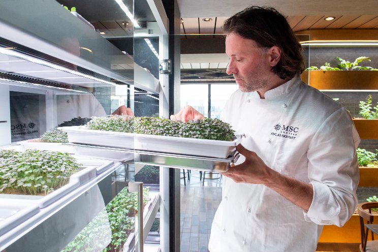 Hydroponic farming at sea