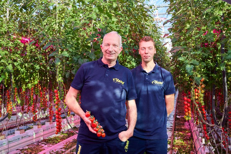 Philips LED system replaces hybrid system at Jami Tomatoes Philips LED system replaces hybrid system at Jami Tomatoes