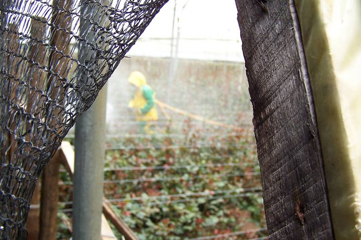 EU Parliament rejects pesticide law EU Parliament rejects pesticide law