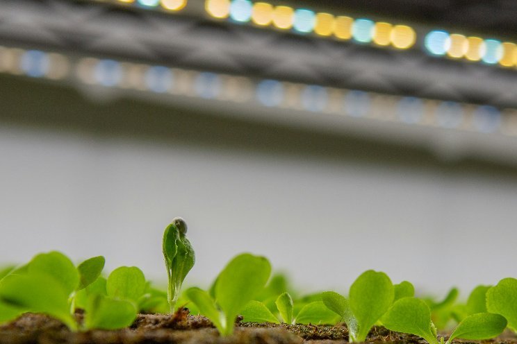 ams OSRAM initiates legal proceedings to protect essential LED patent rights ams OSRAM initiates legal proceedings to protect essential LED patent rights