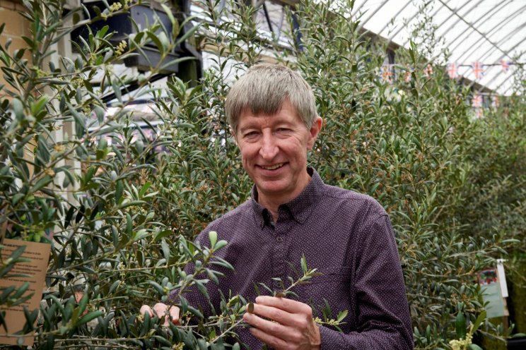 Hot weather gives UK plant sales a boost Hot weather gives UK plant sales a boost