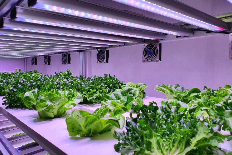 Has the horti lighting drought run its course? Has the horti lighting drought run its course?