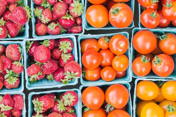 Greenhouse research could boost Alberta's crop output
