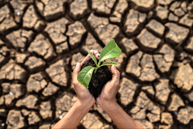 The UAE 'green dreamers' to boost food and water security