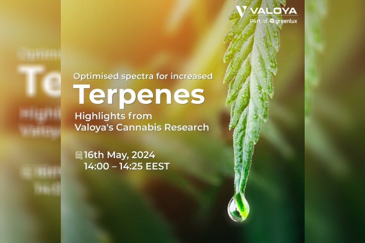 Optimized spectra for increased terpenes: Highlights from Valoya