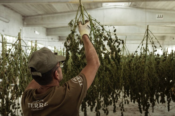 Drying and curing are underrated Drying and curing are underrated