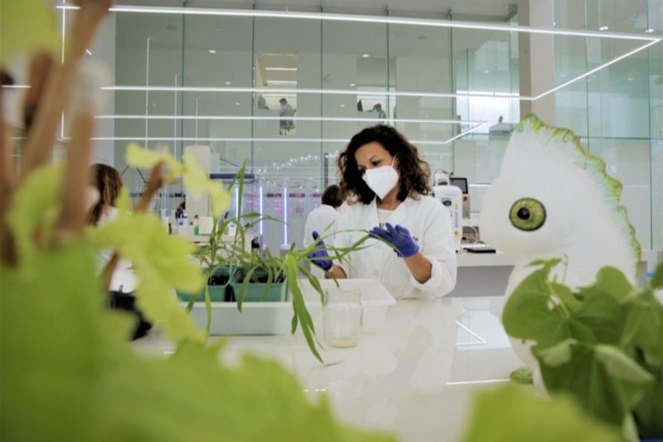 The next generation of biologicals for growers The next generation of biologicals for growers
