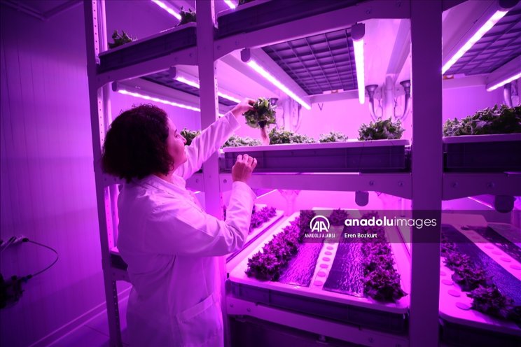 Sustainable production model with AI in VF Sustainable production model with AI in VF