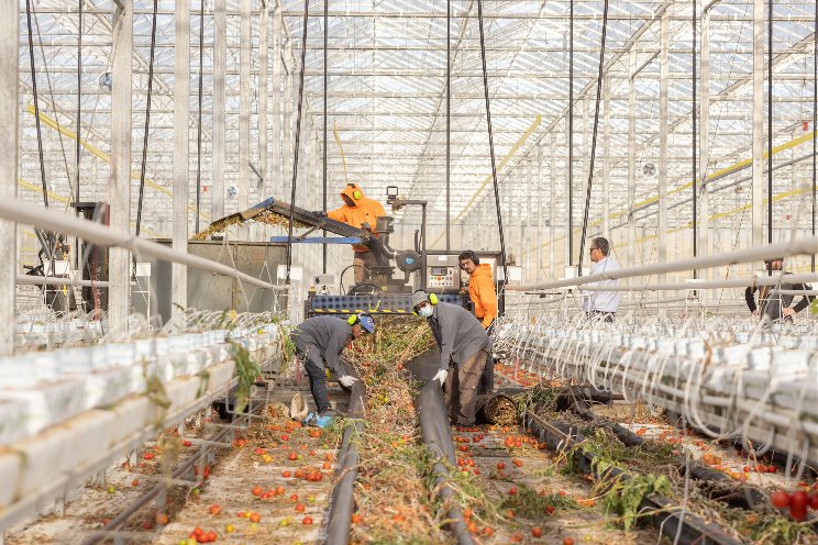 How to end the season with a spotless greenhouse How to end the season with a spotless greenhouse