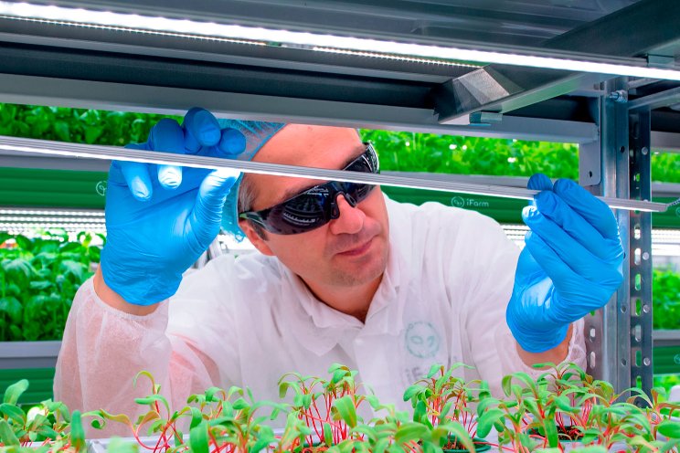 iFarm develops a cutting-edge DFT system for record yields