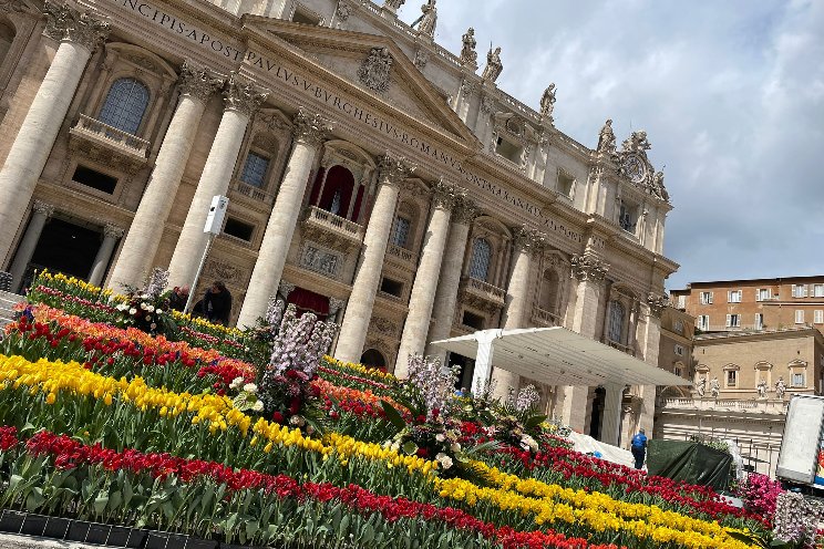 Dutch flowers back in St. Peter’s Square in Rome at Easter