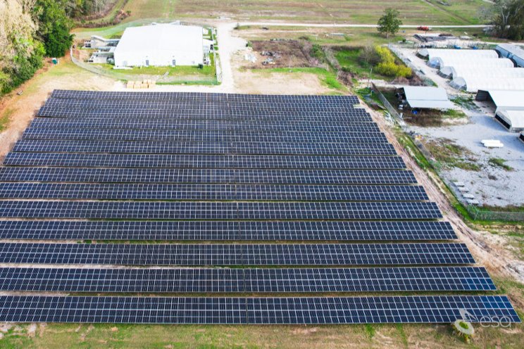 ESA completes first phase of 3.6 MW cannabis grower’s solar farm