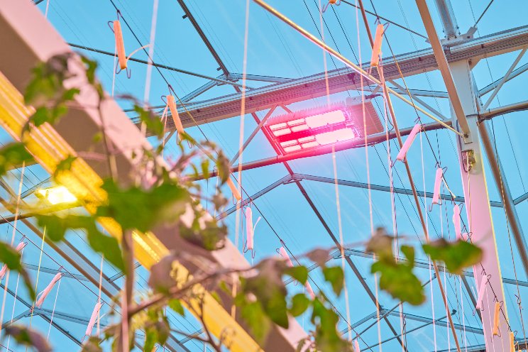 Signify introduces 4-channel Philips GreenPower LED,TLF Signify introduces 4-channel Philips GreenPower LED,TLF