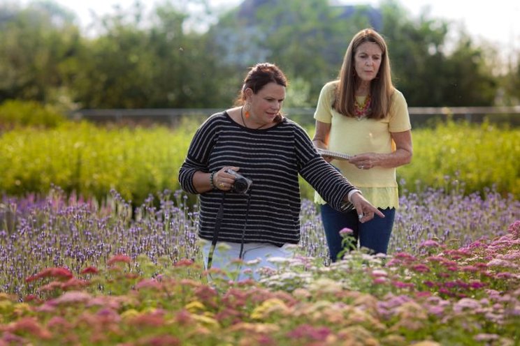 Plant trials benefit breeders, growers alike Plant trials benefit breeders, growers alike