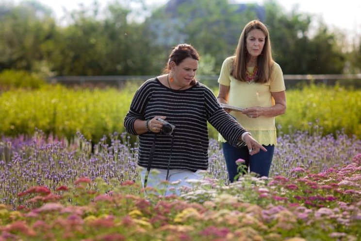 Plant trials benefit breeders, growers alike