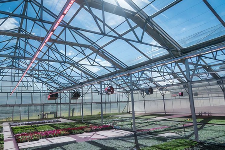 Shining a light on productivity metrics for CEA lighting Shining a light on productivity metrics for CEA lighting