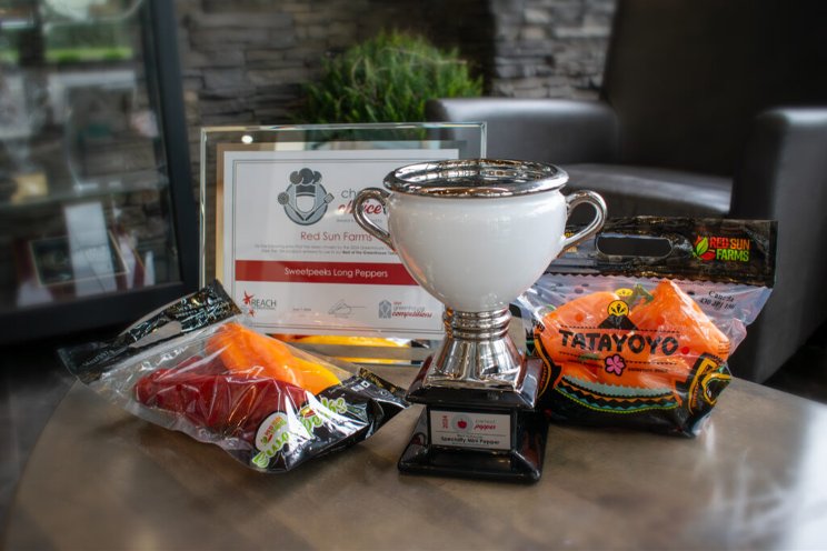 Winners from annual Greenhouse Competitions announced Winners from annual Greenhouse Competitions announced
