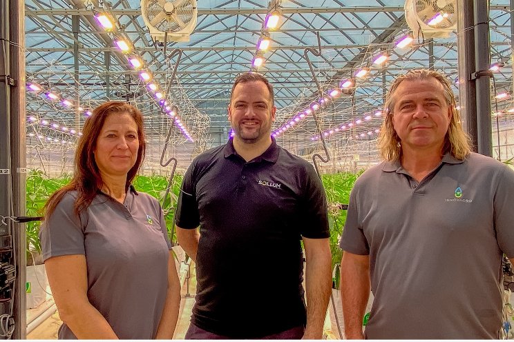 With Sollum, Innovagro switches to dynamic LED lighting With Sollum, Innovagro switches to dynamic LED lighting