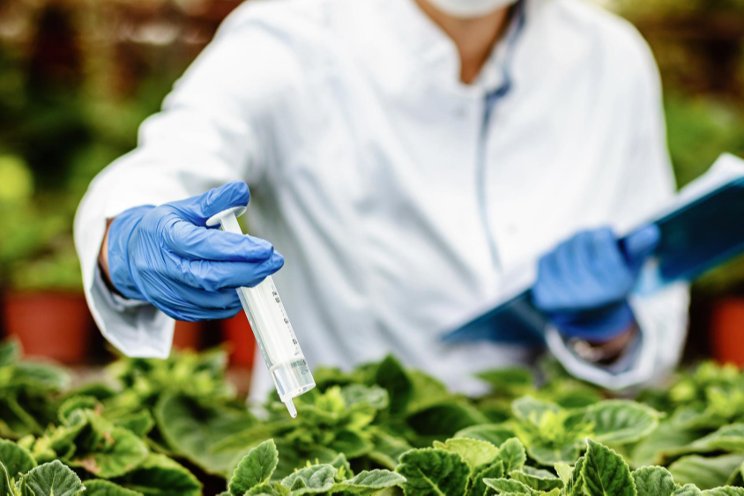 New insecticide to manage aphids and whiteflies New insecticide to manage aphids and whiteflies