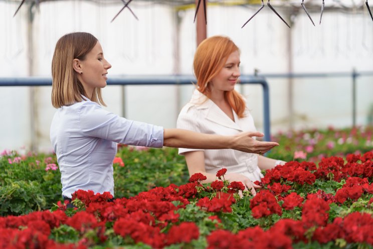 Ont. announces $4M for horticultural skilled trades careers