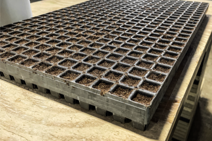 Profile Horticulture's new propagation fiber product line Profile Horticulture's new propagation fiber product line