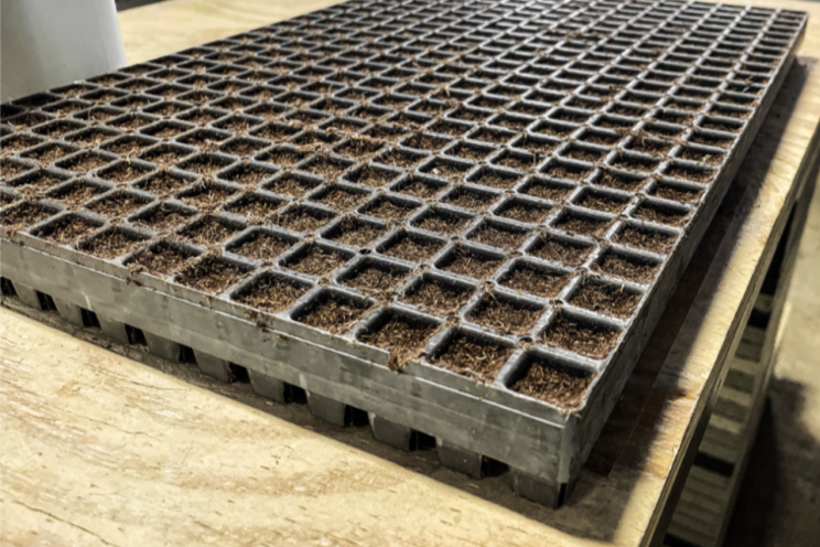 Profile Horticulture's new propagation fiber product line