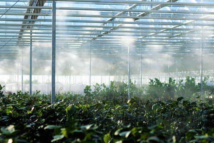 Start talking about water circularity in your greenhouse
