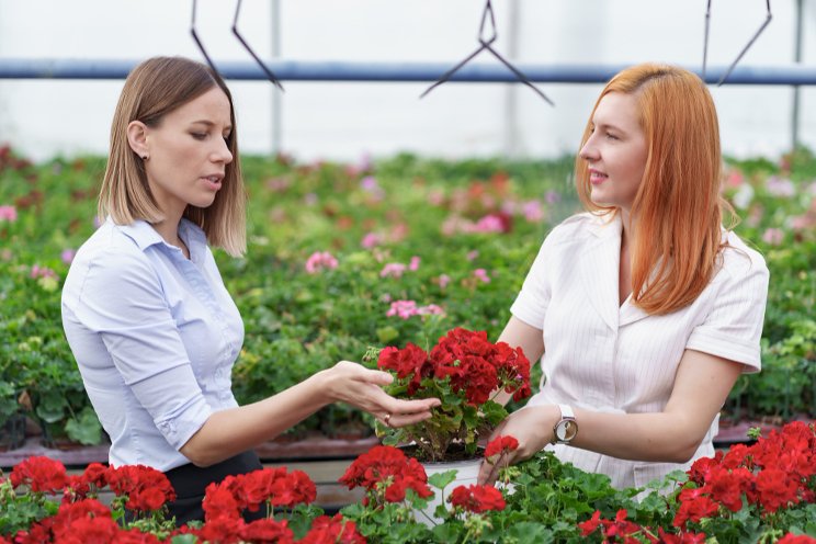 Bio-pesticides bloom in greenhouses