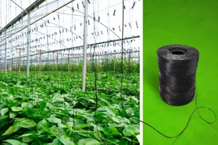 BASF introduces industrial compostable biopolymer for greenhouse twines BASF introduces industrial compostable biopolymer for greenhouse twines