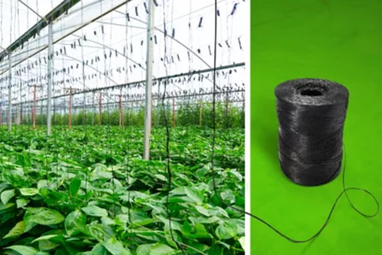 BASF introduces industrial compostable biopolymer for greenhouse twines