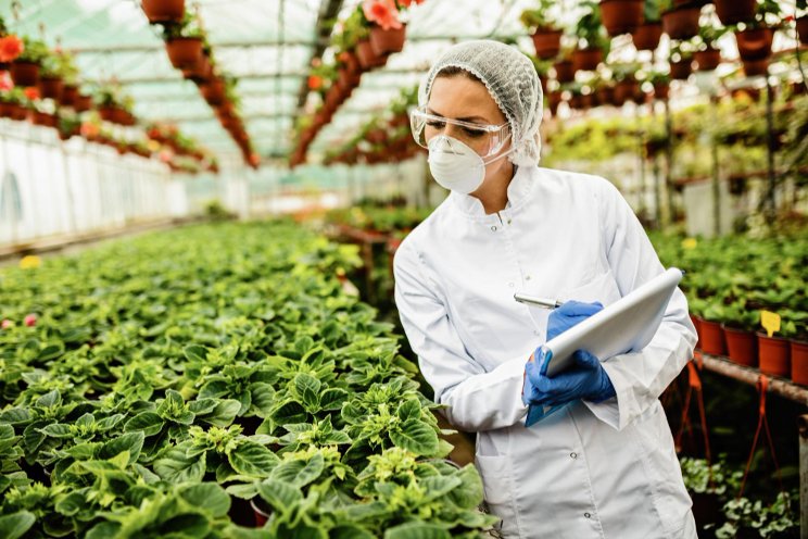 8 strategies for improving your greenhouse business