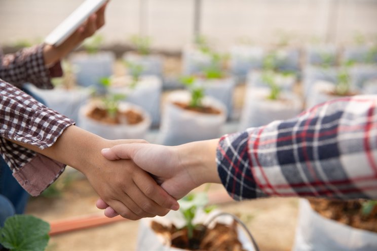 Country’s first mega greenhouse continues to make its mark