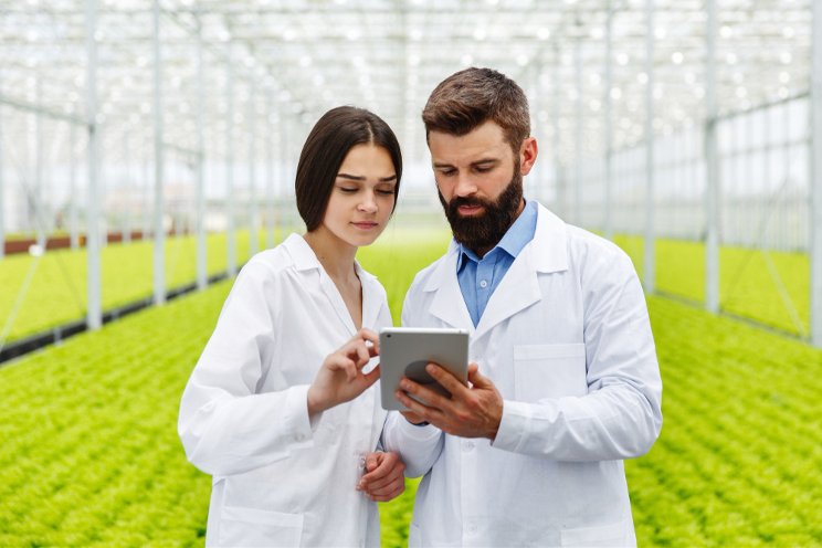 A comprehensive cost-benefit analysis for new greenhouse growers A comprehensive cost-benefit analysis for new greenhouse growers