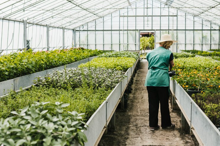 8 tips for new greenhouse growers from seasoned greenhouse growers