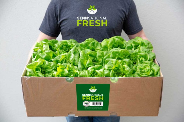 Partnership steering indoor-grown produce in new direction