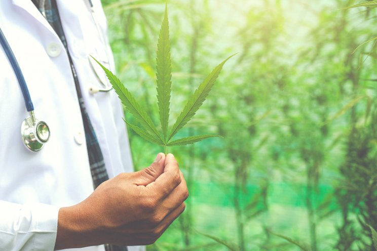 20M Germans could benefit from medical marijuana 20M Germans could benefit from medical marijuana