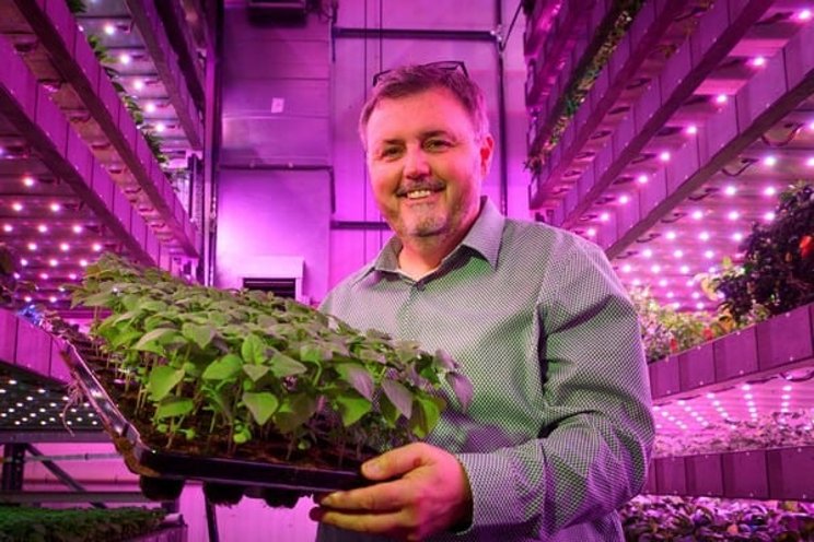 £800k government grant to convert broccoli waste into protein