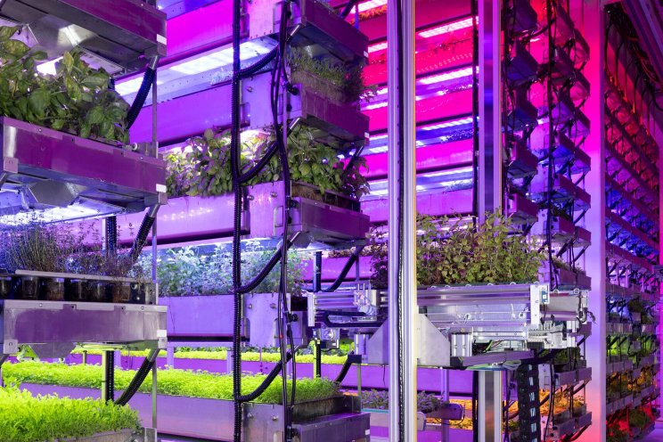 Autonomous VF startup to grow crops in space in 2026