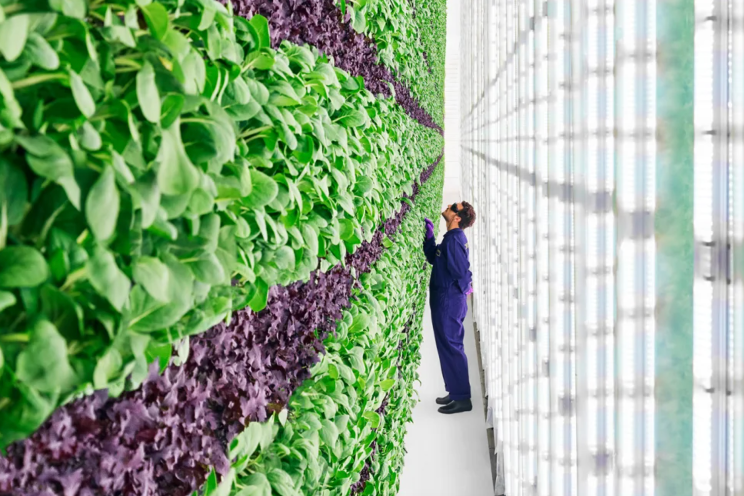 Plenty completes restructuring, emerges from chapter 11 Plenty completes restructuring, emerges from chapter 11